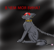 �����