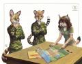 1342730123.kacey the briefing