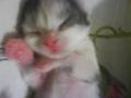 DSC07189