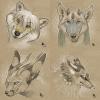 435.-star- sketches9wm