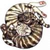 x 52ccafc6