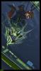 1225645075.gearott...oxsmall