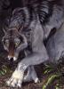 1186177706.blotch shadowdog