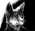 1420237651.blackte...peo-web