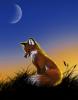 Red Fox by kaijae