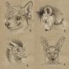 124.-star- sketches2