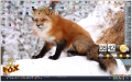 fox_1