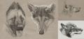 1247.-star- petsketches