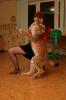 Lynxfoto (20)