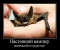1287342870 foto- 9