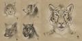 187.-star- sketches3