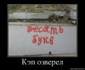 1352283559 2674901 kep-ozverel
