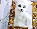 1350399952.radywolf dsc03567 2