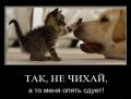 1285504721 foto 20