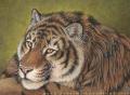 Tiger Eyes by darknatasha