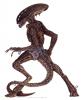 1248635152.bloodho...s alien