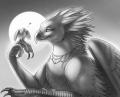 1235.bagheera maggock