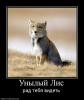 showimg.php