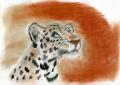 a 1217167309 safu - leopard