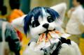 1366213712.radywolf image