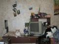IMG 1919