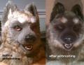 before-n-after