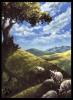 1178013243.blotch watchingtree