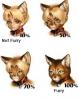 furry proc