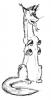 dogon_hex.jpg