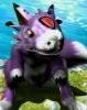 dorumon.jpg