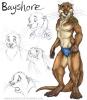 bayshoresheet1.jpg