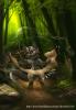 1369330152.silverf...wolf fa