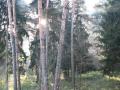 IMG 0441