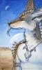 1283875803.myenia desert-world