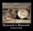 1285605036 foto 61