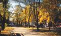 24 alleya-osen