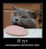 1288121338 foto 22