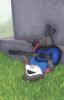 1214257869.christaphorac shari