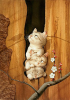 catpic1