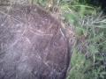 IMG 09192012 164357