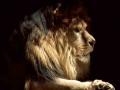 LION 1.jpg