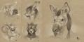 269.-star- sketches4