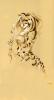 1231452667.hbruton mwhite rose