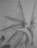 a485361069c5