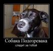 1286112672 foto- 36