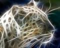 68df65439b974dffb8...big.jpg