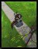 1190453142.gearott...arotter