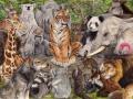 1204017735.bloodho...animals