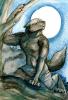 1275196248.danji-i...erewolf