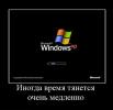 1285504773 foto 8